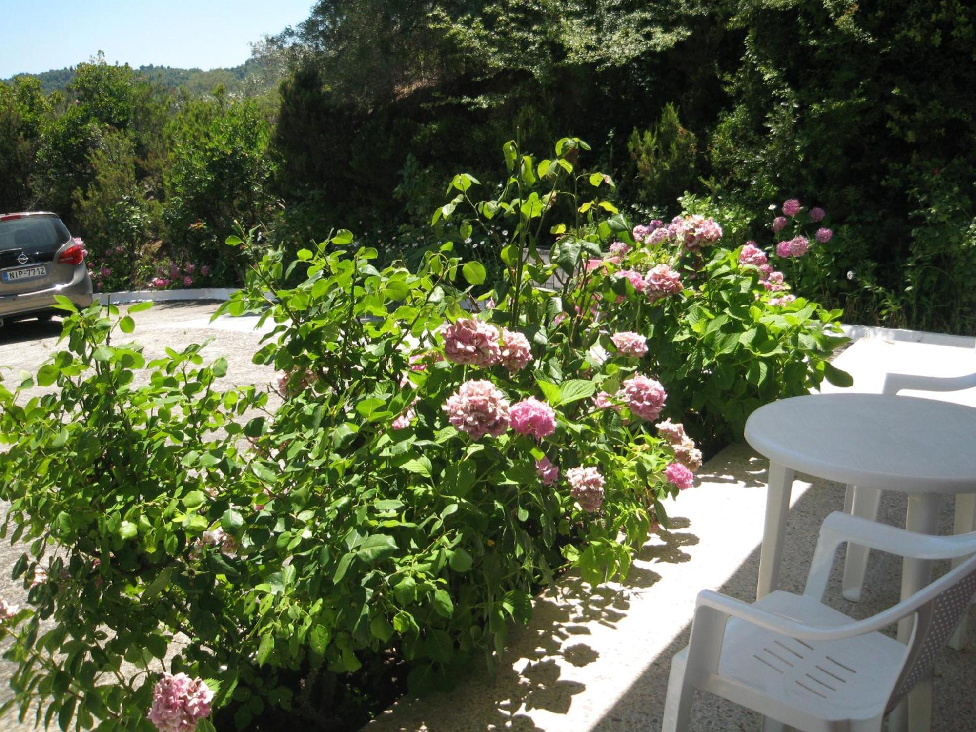 Bellina Studios Agia Paraskevi  Exterior foto