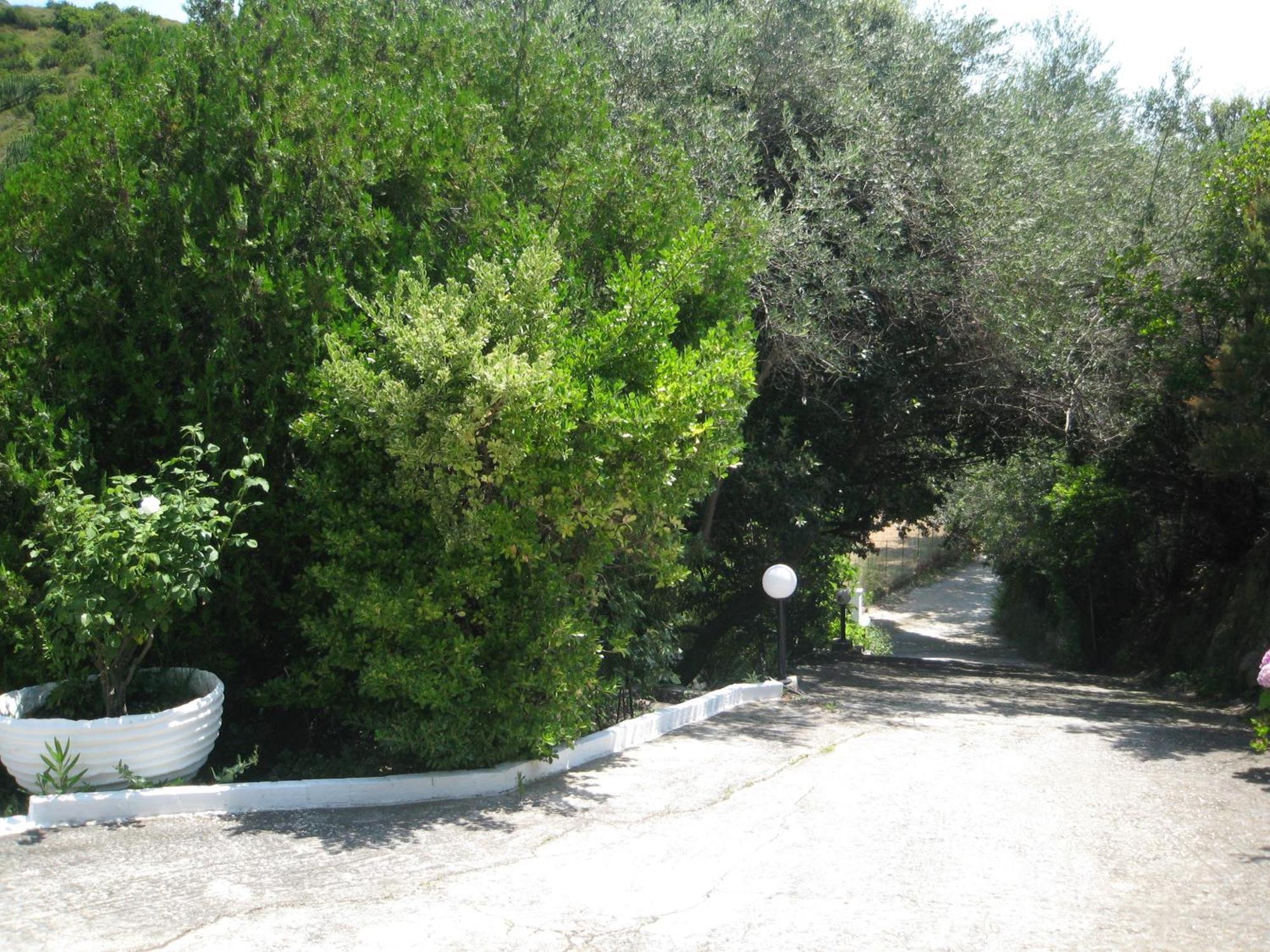 Bellina Studios Agia Paraskevi  Exterior foto